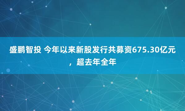 盛鹏智投 今年以来新股发行共募资675.30亿元，超去年全年