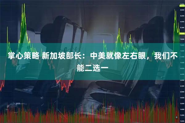掌心策略 新加坡部长：中美就像左右眼，我们不能二选一