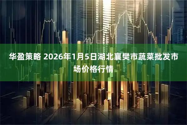 华盈策略 2026年1月5日湖北襄樊市蔬菜批发市场价格行情