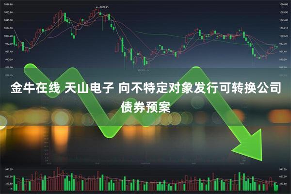 金牛在线 天山电子 向不特定对象发行可转换公司债券预案